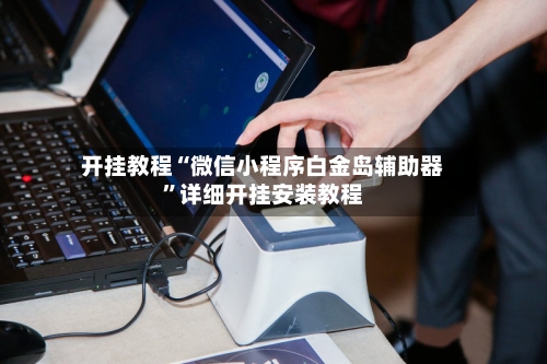 开挂教程“微信小程序白金岛辅助器	”详细开挂安装教程-第3张图片