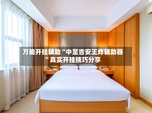 万能开挂辅助“中至吉安王炸辅助器”真实开挂技巧分享-第1张图片