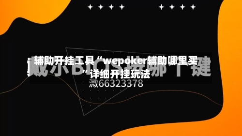 辅助开挂工具“wepoker辅助哪里买”详细开挂玩法-第2张图片
