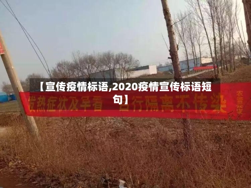 【宣传疫情标语,2020疫情宣传标语短句】-第3张图片