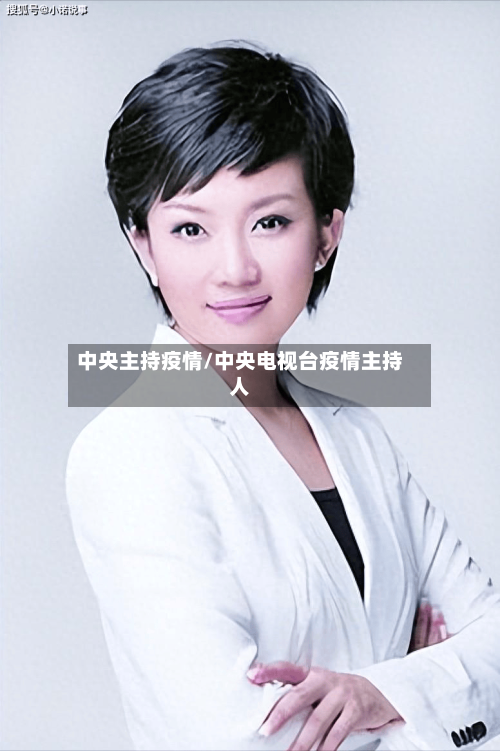 中央主持疫情/中央电视台疫情主持人-第2张图片