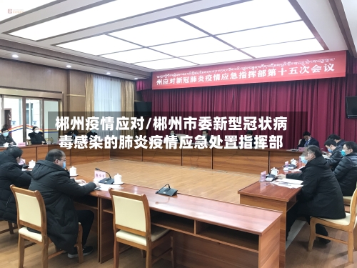 郴州疫情应对/郴州市委新型冠状病毒感染的肺炎疫情应急处置指挥部-第3张图片