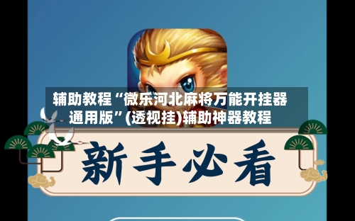 辅助教程“微乐河北麻将万能开挂器通用版”(透视挂)辅助神器教程-第3张图片