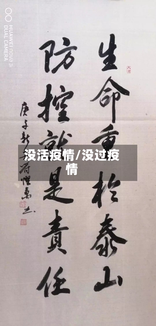 没活疫情/没过疫情-第3张图片