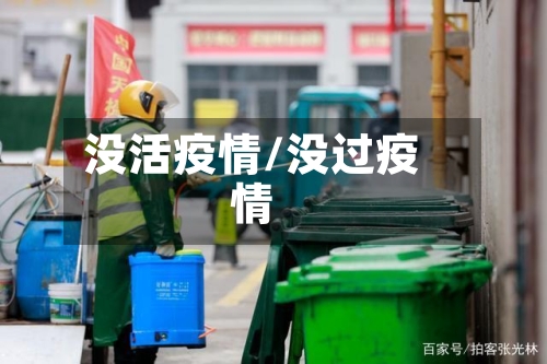 没活疫情/没过疫情-第2张图片