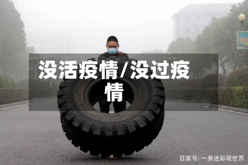 没活疫情/没过疫情-第1张图片