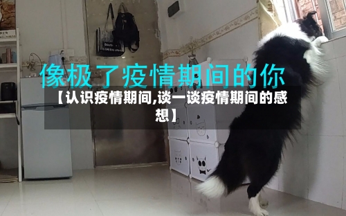 【认识疫情期间,谈一谈疫情期间的感想】-第1张图片