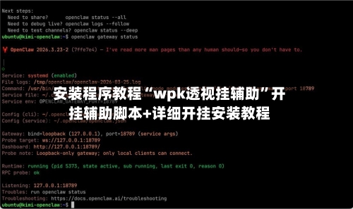 安装程序教程“wpk透视挂辅助”开挂辅助脚本+详细开挂安装教程