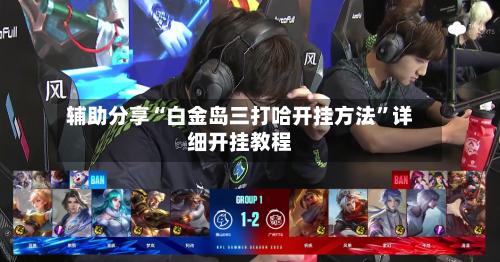 辅助分享“白金岛三打哈开挂方法”详细开挂教程-第2张图片