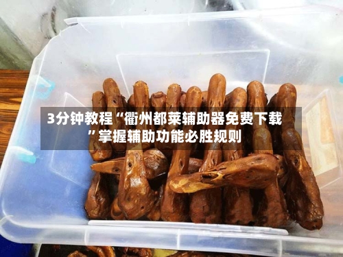 3分钟教程“衢州都莱辅助器免费下载”掌握辅助功能必胜规则-第1张图片