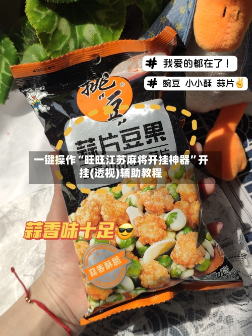 一键操作“旺旺江苏麻将开挂神器	”开挂(透视)辅助教程-第2张图片