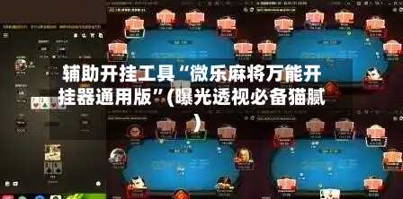 辅助开挂工具“微乐麻将万能开挂器通用版	”(曝光透视必备猫腻)-第3张图片