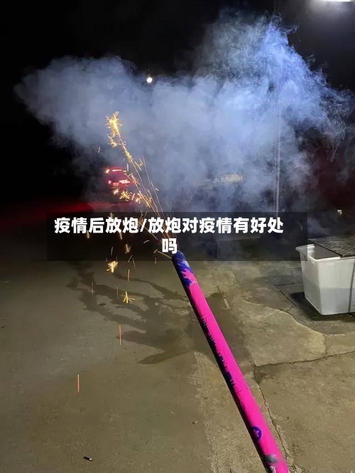 疫情后放炮/放炮对疫情有好处吗-第2张图片