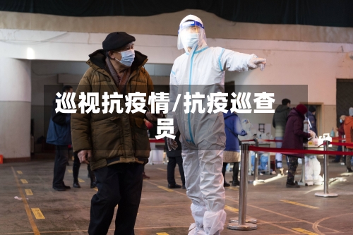 巡视抗疫情/抗疫巡查员-第2张图片