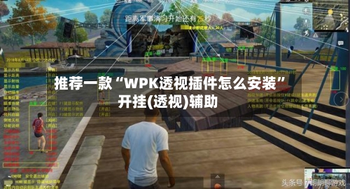 推荐一款“WPK透视插件怎么安装”开挂(透视)辅助-第1张图片