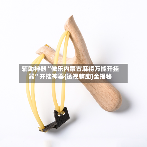 辅助神器“微乐内蒙古麻将万能开挂器”开挂神器{透视辅助}全揭秘-第2张图片