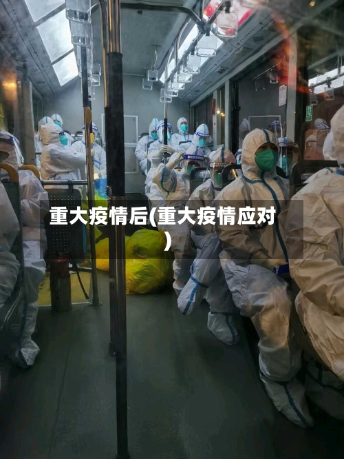 重大疫情后(重大疫情应对)-第1张图片