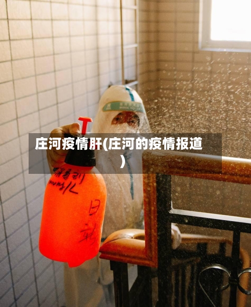 庄河疫情肝(庄河的疫情报道)-第3张图片