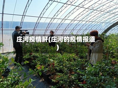 庄河疫情肝(庄河的疫情报道)-第1张图片