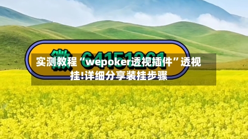 实测教程“wepoker透视插件”透视挂!详细分享装挂步骤-第3张图片