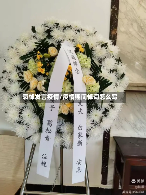 哀悼发言疫情/疫情期间悼词怎么写-第2张图片