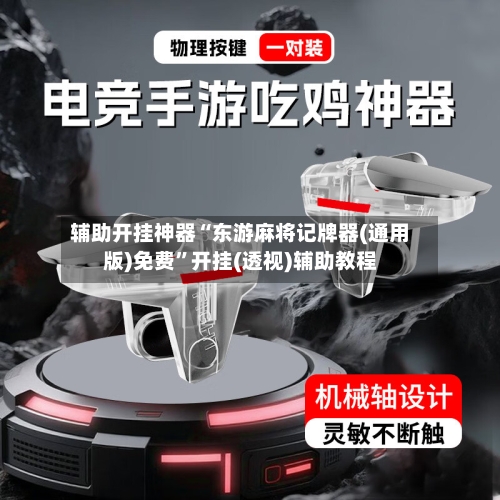 辅助开挂神器“东游麻将记牌器(通用版)免费”开挂(透视)辅助教程-第3张图片