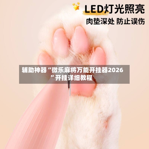 辅助神器“微乐麻将万能开挂器2026”开挂详细教程-第1张图片
