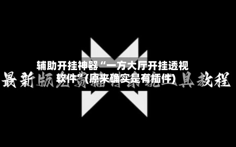 辅助开挂神器“一方大厅开挂透视软件	”(原来确实是有插件)-第1张图片
