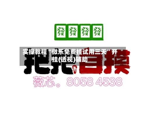 实操教程“微乐免费挂试用三天	”开挂(透视)辅助-第2张图片