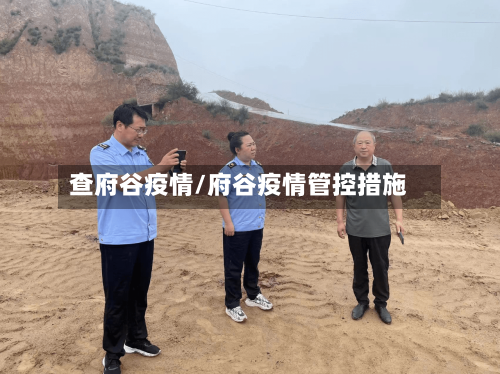 查府谷疫情/府谷疫情管控措施-第2张图片