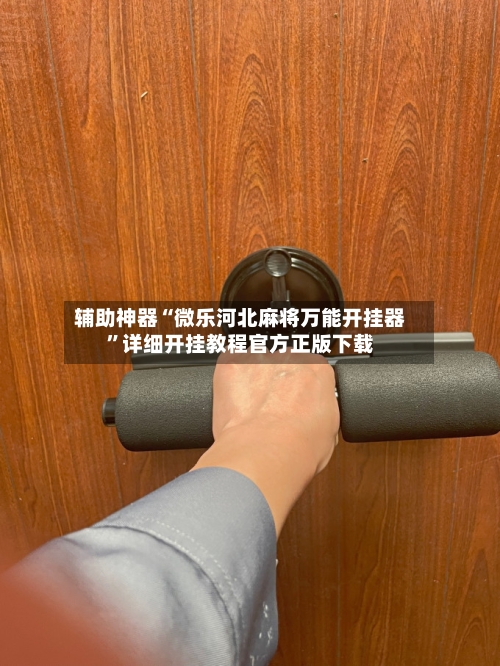 辅助神器“微乐河北麻将万能开挂器”详细开挂教程官方正版下载-第3张图片