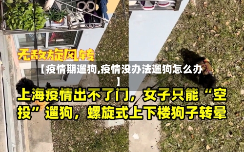 【疫情期遛狗,疫情没办法遛狗怎么办】-第2张图片