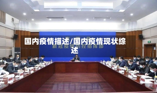 国内疫情描述/国内疫情现状综述-第2张图片