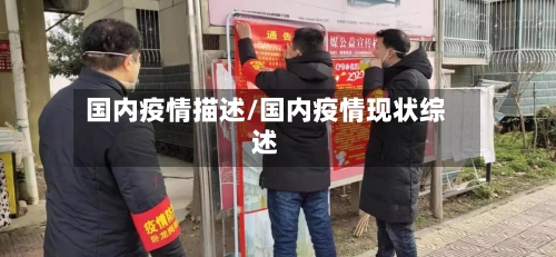 国内疫情描述/国内疫情现状综述