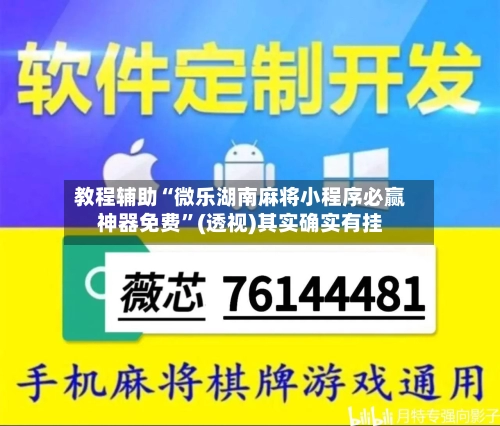 教程辅助“微乐湖南麻将小程序必赢神器免费”(透视)其实确实有挂
