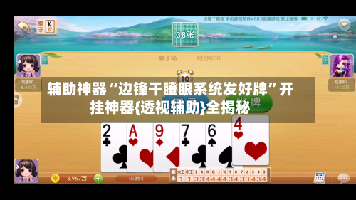 辅助神器“边锋干瞪眼系统发好牌”开挂神器{透视辅助}全揭秘-第3张图片
