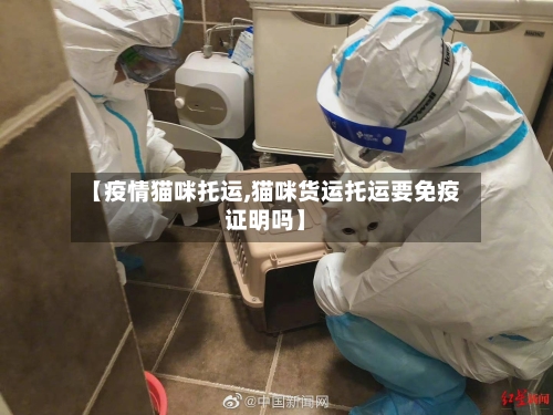 【疫情猫咪托运,猫咪货运托运要免疫证明吗】