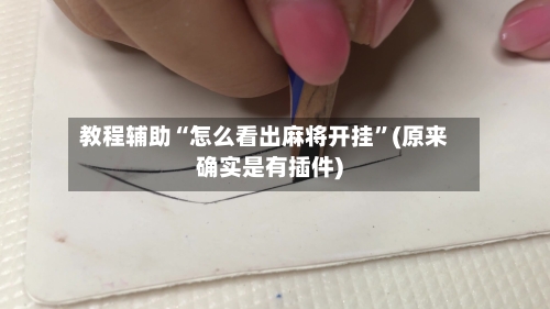 教程辅助“怎么看出麻将开挂”(原来确实是有插件)-第2张图片