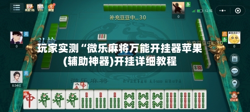 玩家实测“微乐麻将万能开挂器苹果(辅助神器)开挂详细教程-第2张图片