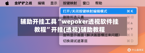 辅助开挂工具“wepoker透视软件挂教程	”开挂(透视)辅助教程-第2张图片