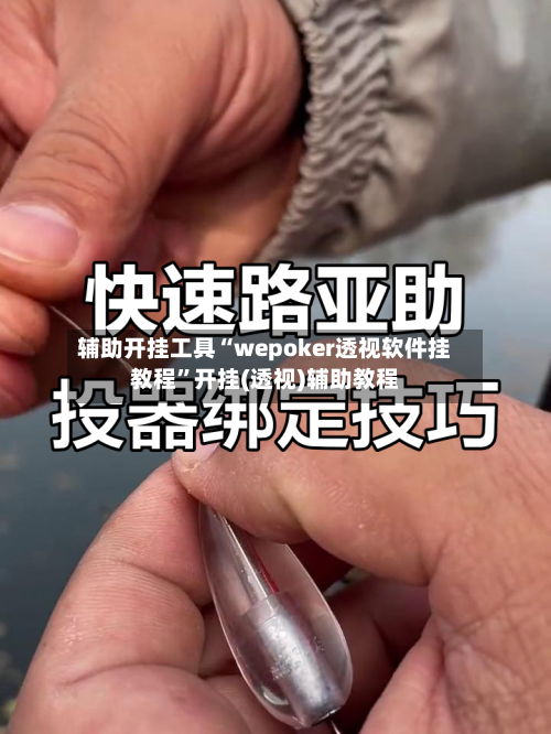 辅助开挂工具“wepoker透视软件挂教程”开挂(透视)辅助教程