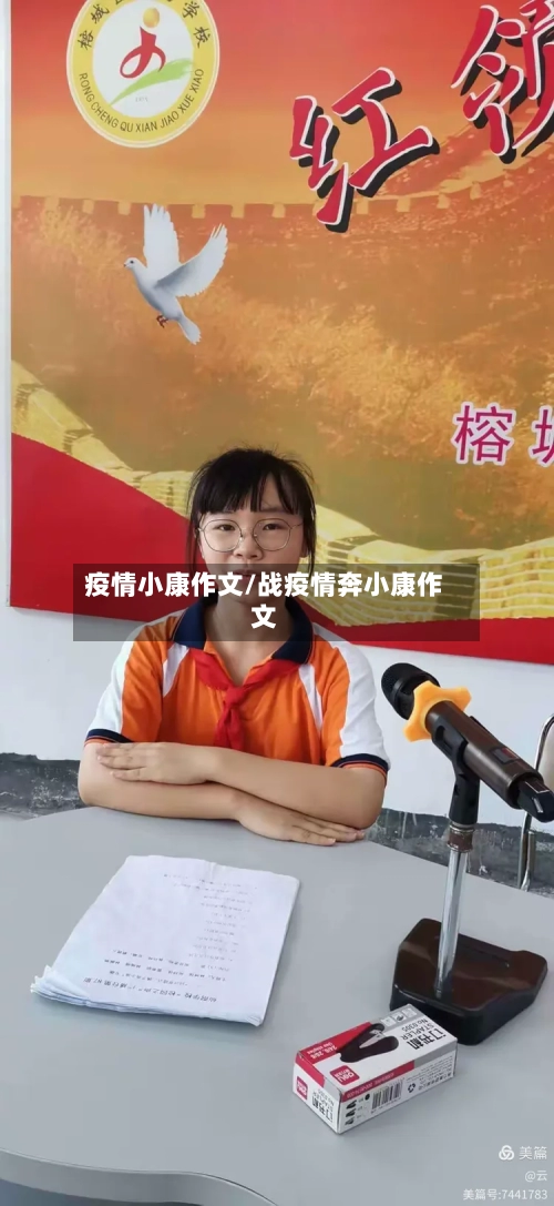 疫情小康作文/战疫情奔小康作文-第2张图片