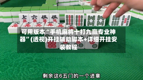 可用版本“手机麻将十打九赢专业神器”(透视)开挂辅助脚本+详细开挂安装教程-第2张图片