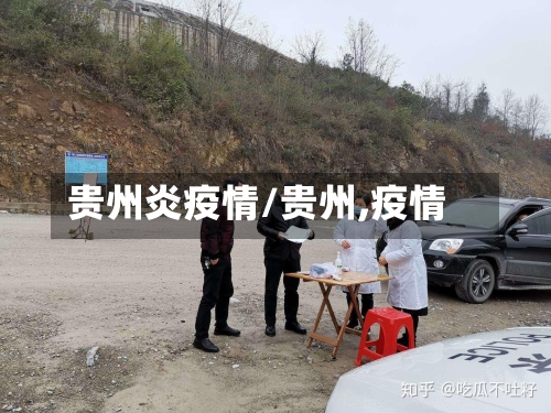 贵州炎疫情/贵州,疫情-第2张图片