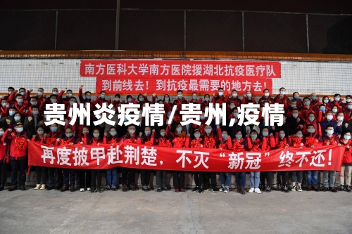 贵州炎疫情/贵州,疫情-第3张图片
