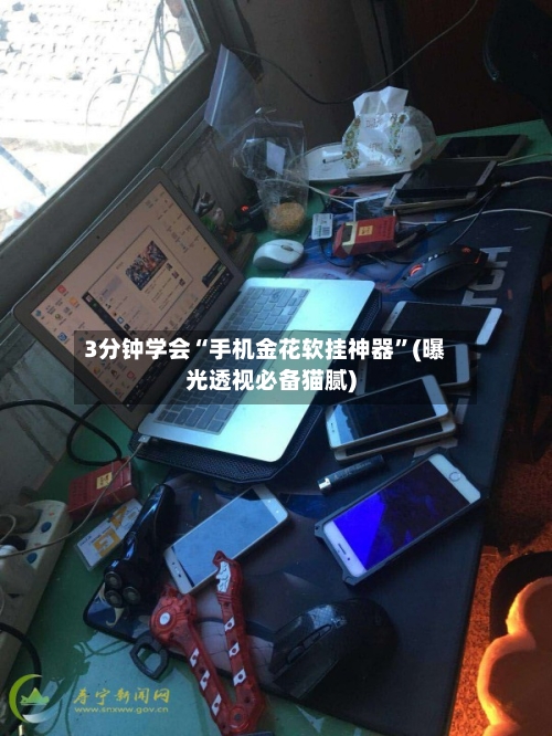 3分钟学会“手机金花软挂神器”(曝光透视必备猫腻)-第3张图片