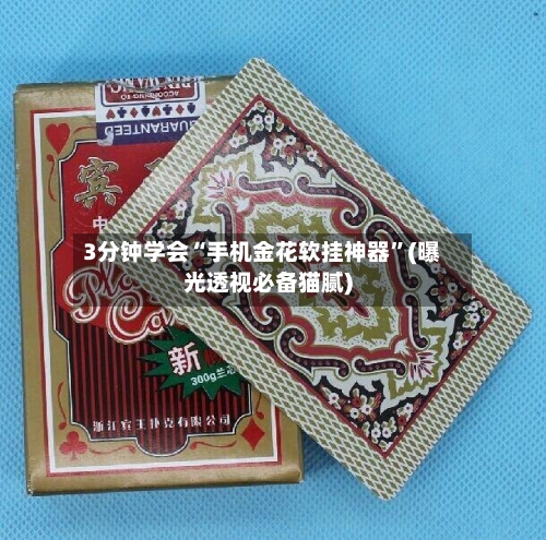 3分钟学会“手机金花软挂神器	”(曝光透视必备猫腻)-第2张图片