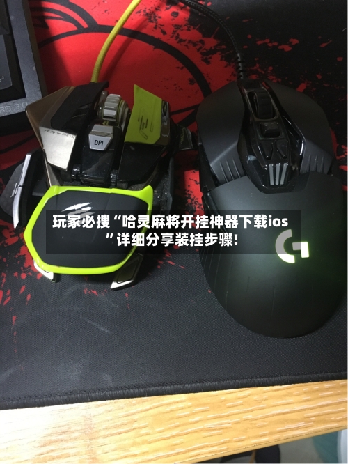 玩家必搜“哈灵麻将开挂神器下载ios”详细分享装挂步骤!-第3张图片