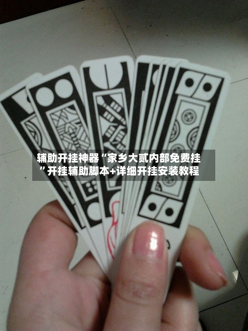 辅助开挂神器“家乡大贰内部免费挂”开挂辅助脚本+详细开挂安装教程-第3张图片