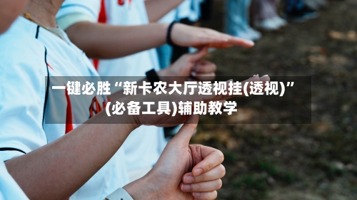 一键必胜“新卡农大厅透视挂(透视)”(必备工具)辅助教学-第2张图片